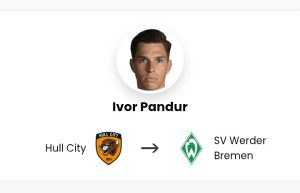 ABGESCHLOSSEN: Werder Bremen verpflichtet den kroatischen Torhüter Ivan Pandur von Hull City als Ersatz für Zetterer.