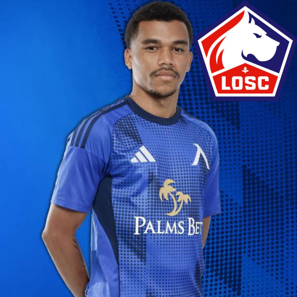 InShot_20251128_123146334