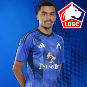 InShot_20251128_123146334