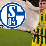 InShot_20251212_150631592