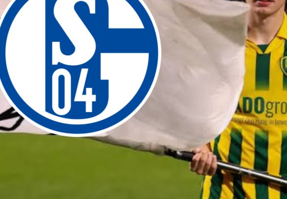 InShot_20251212_150631592