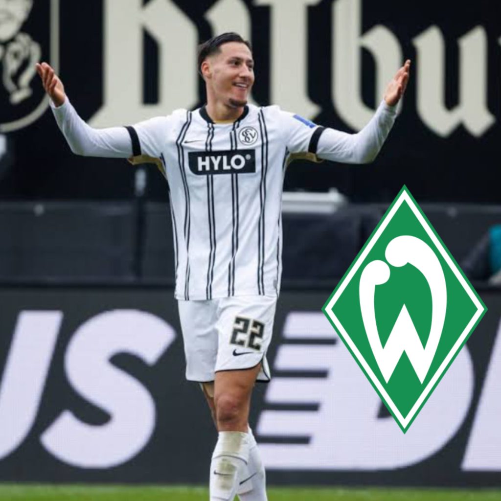 InShot_20251213_130030925