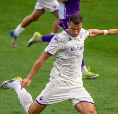 FKAustria Wien Edin Džeko Fußballtransfer
